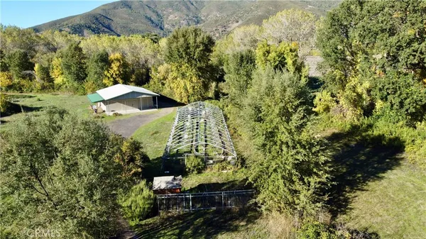 a view of a yard with a tree