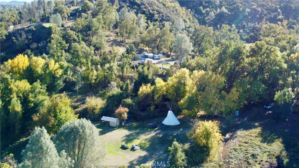 11255 Rancheria Road Upper Lake, CA 95485 - Photo 42 of 46 a view of a tree with a yard