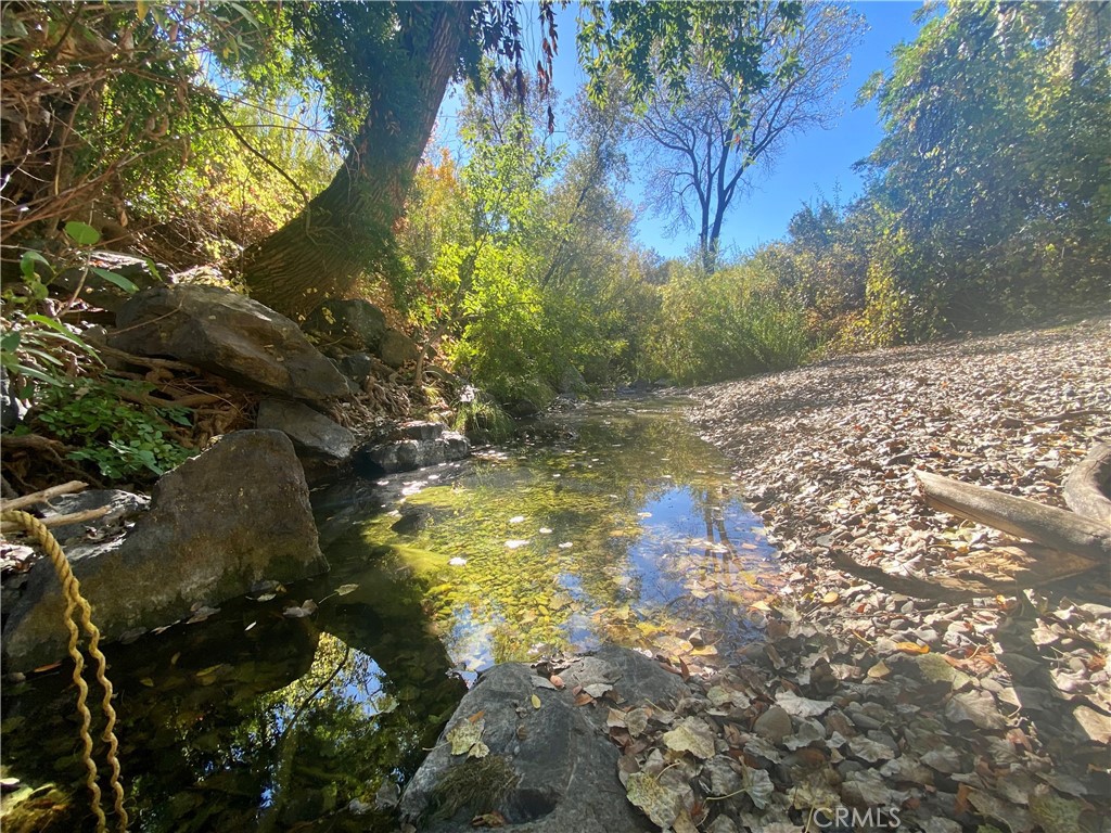 11255 Rancheria Road Upper Lake, CA 95485 - Photo 8 of 46 a backyard of a house