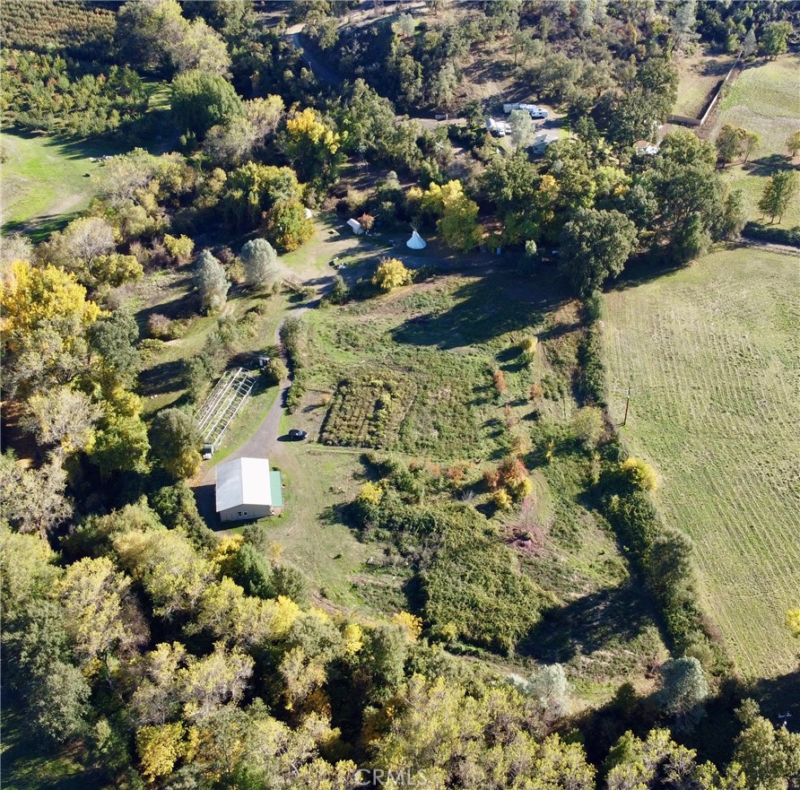 11255 Rancheria Road Upper Lake, CA 95485 - Photo 10 of 46 a view of a yard of a house