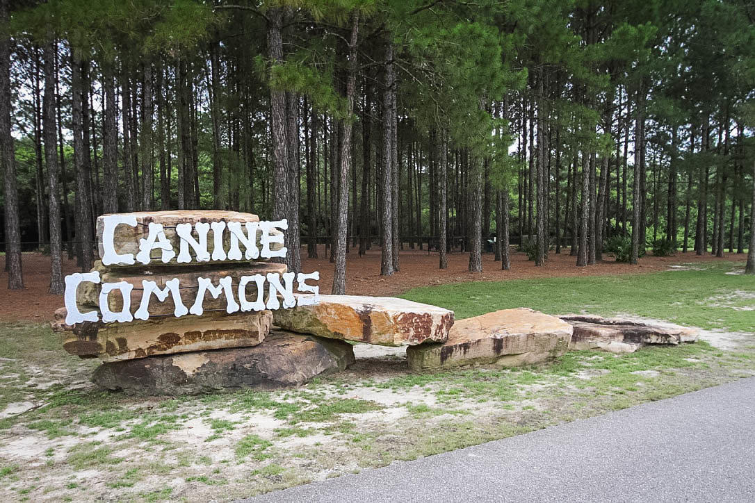 397 Mango Lane Freeport, FL 32439 - Photo 65 of 70 HB Dog Park