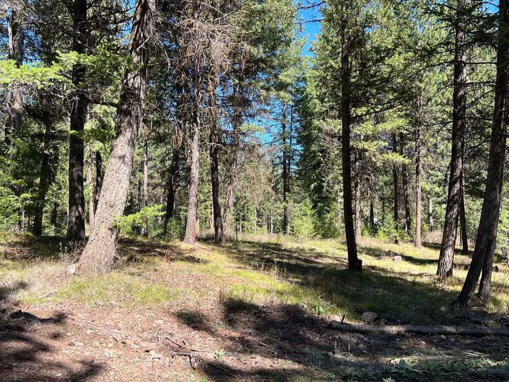 B24-l2 Vardon Road, Unit 2 New Meadows, ID 83654 - Photo 13 of 16