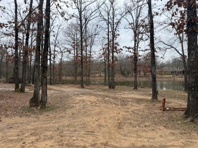 4415 Smallwood Road Reno, TX 75462 - Photo 27 of 39 a backyard of a house with lots of trees