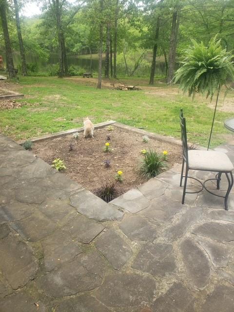 4415 Smallwood Road Reno, TX 75462 - Photo 30 of 39 a view of a park with large trees