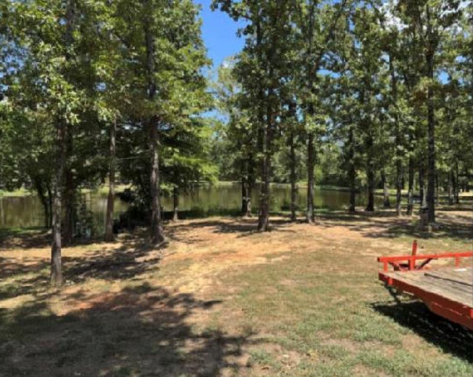 4415 Smallwood Road Reno, TX 75462 - Photo 4 of 39 a view of a backyard with table and chairs and a large tree
