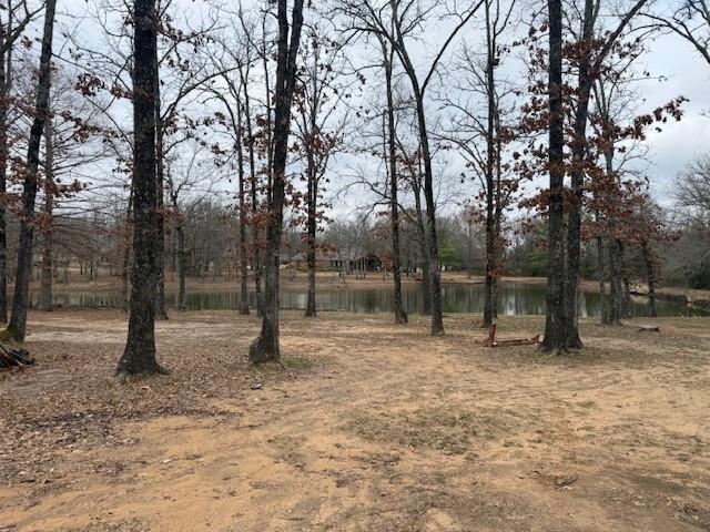 4415 Smallwood Road Reno, TX 75462 - Photo 5 of 39 a backyard of a house with lots of green space