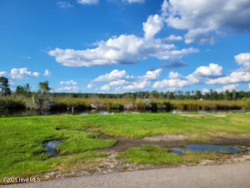 14696 Main Street Aurora, NC 27806 - Photo 9 of 17 -Land in the background- Marsh