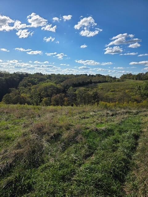 408 Mattox Road Falmouth, KY 41040 - Photo 20 of 28