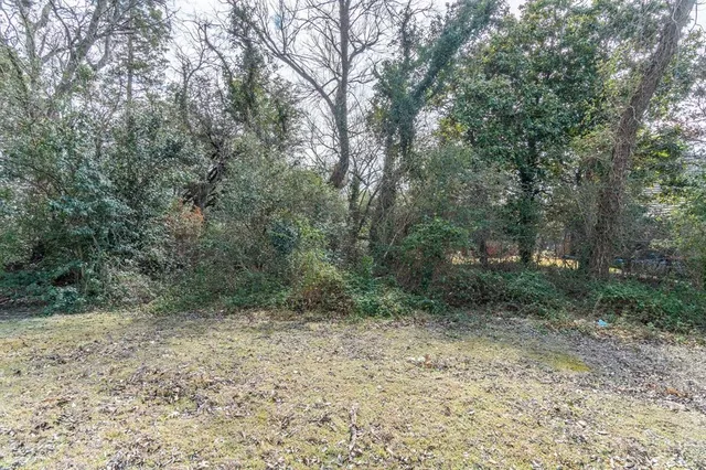 a view of a dry yard with wooden fence