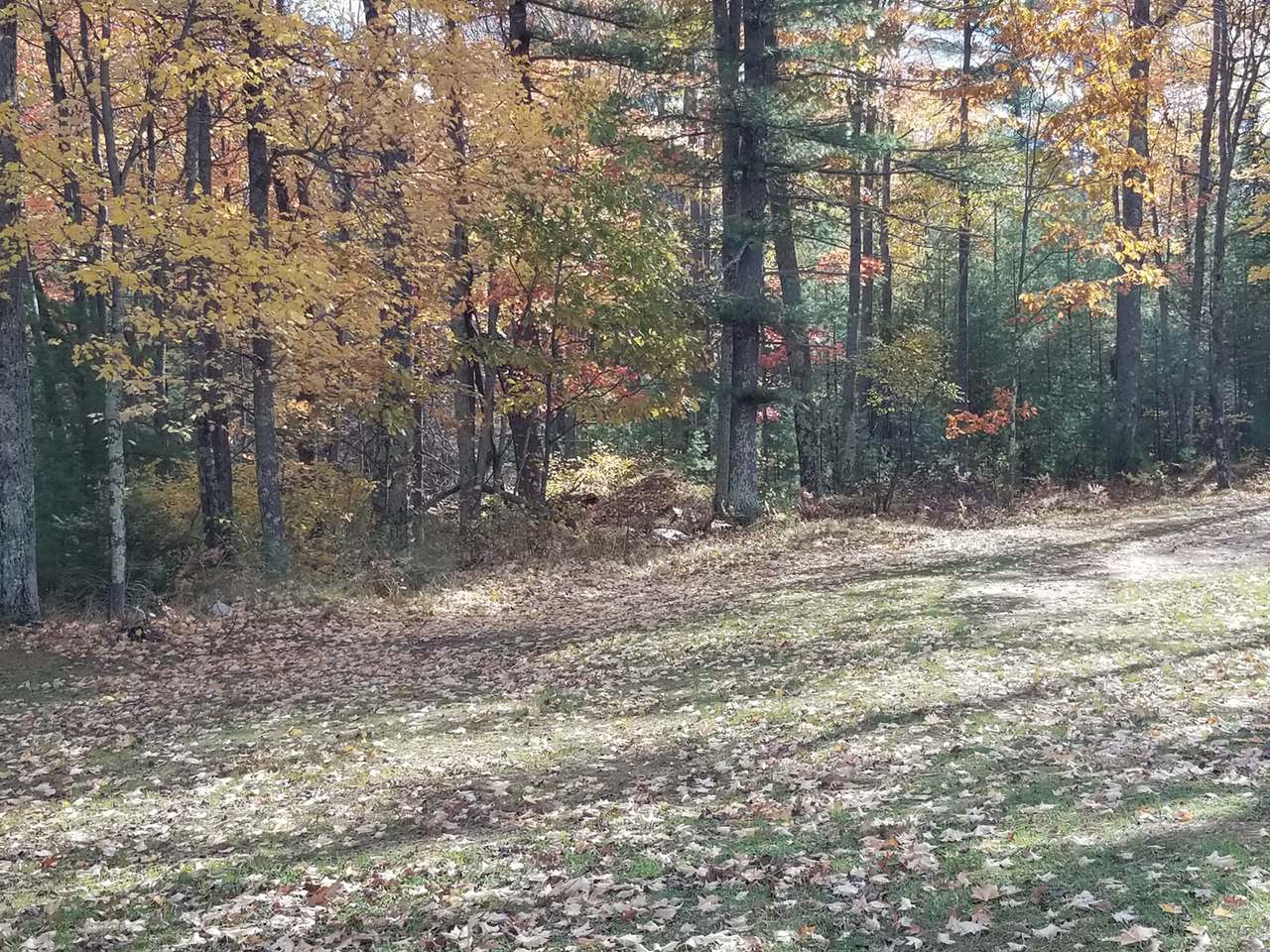 6341 Trails End Lane Rhinelander, WI 54501 - Photo 31 of 41 Gallery Image 31