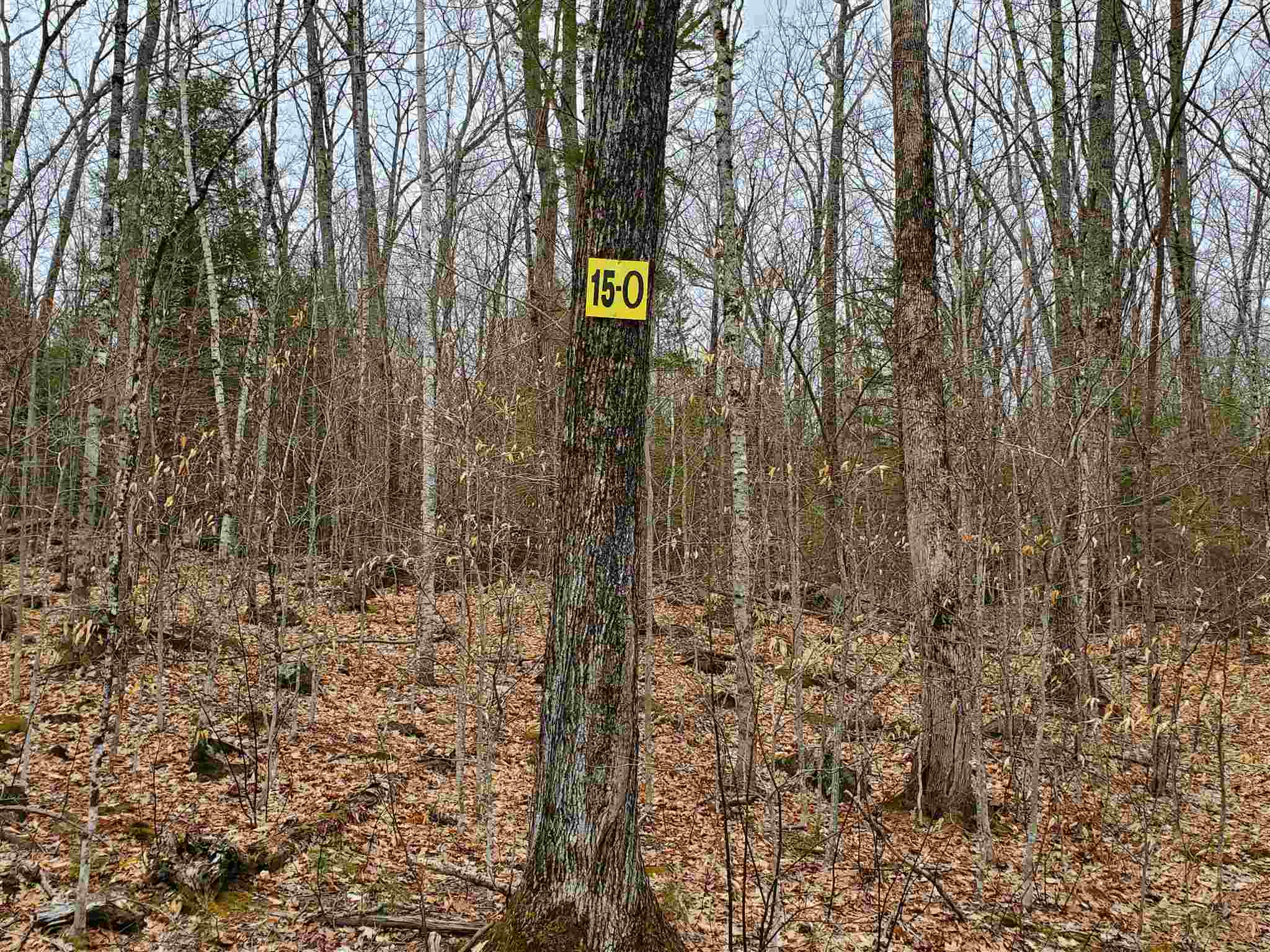 Lot 15-0 Buzzell Ridge Road, Unit 14 Sandwich, NH 03227 - Photo 2 of 39