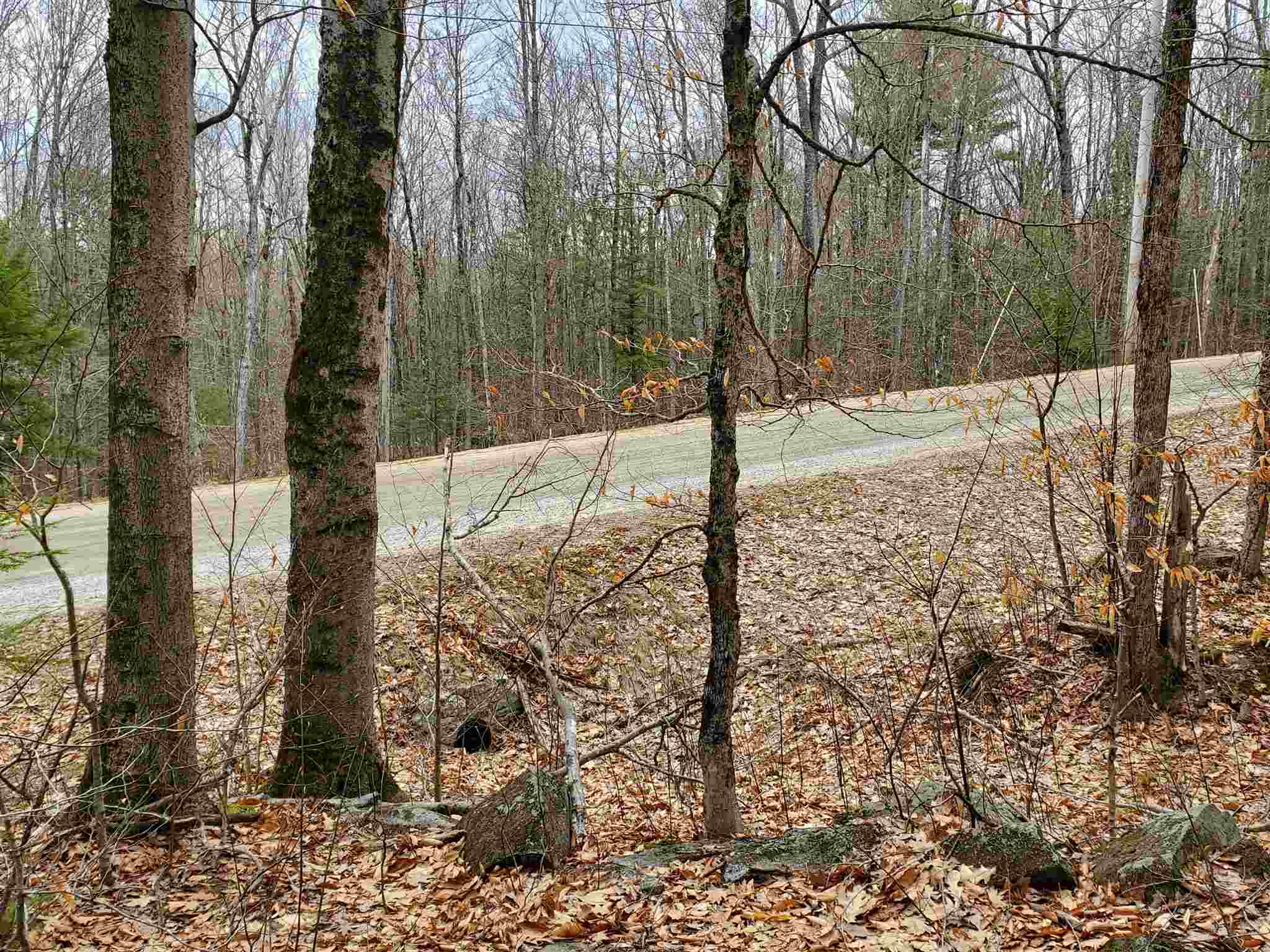 Lot 15-0 Buzzell Ridge Road, Unit 14 Sandwich, NH 03227 - Photo 11 of 39