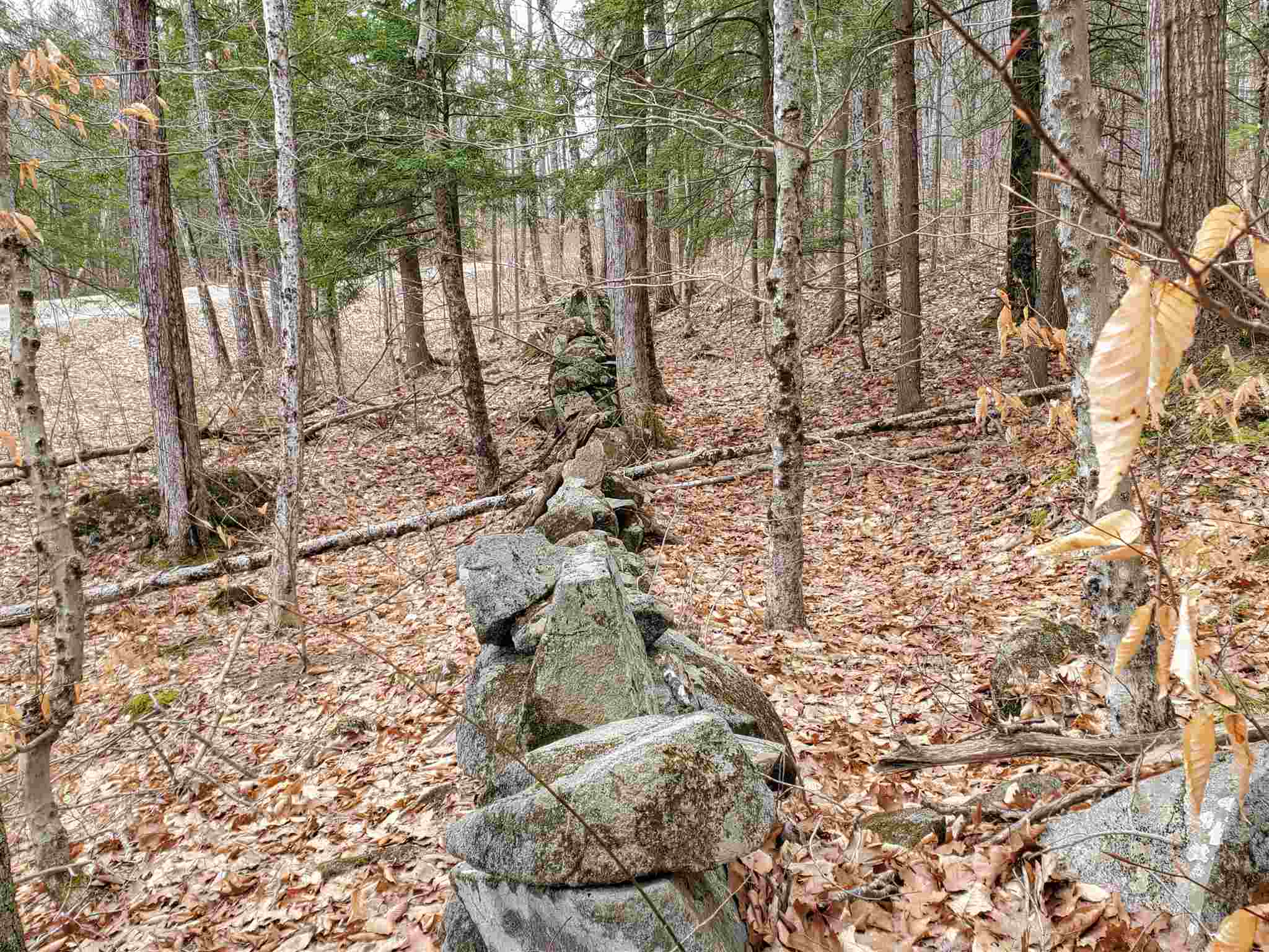 Lot 15-0 Buzzell Ridge Road, Unit 14 Sandwich, NH 03227 - Photo 12 of 39