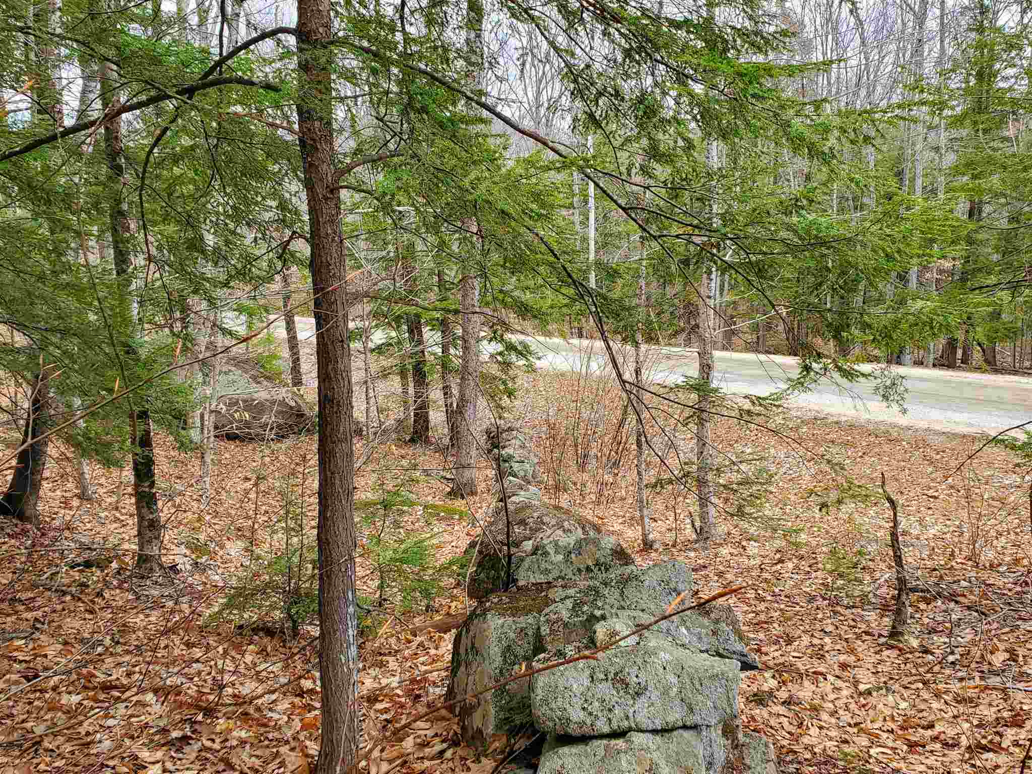 Lot 15-0 Buzzell Ridge Road, Unit 14 Sandwich, NH 03227 - Photo 13 of 39