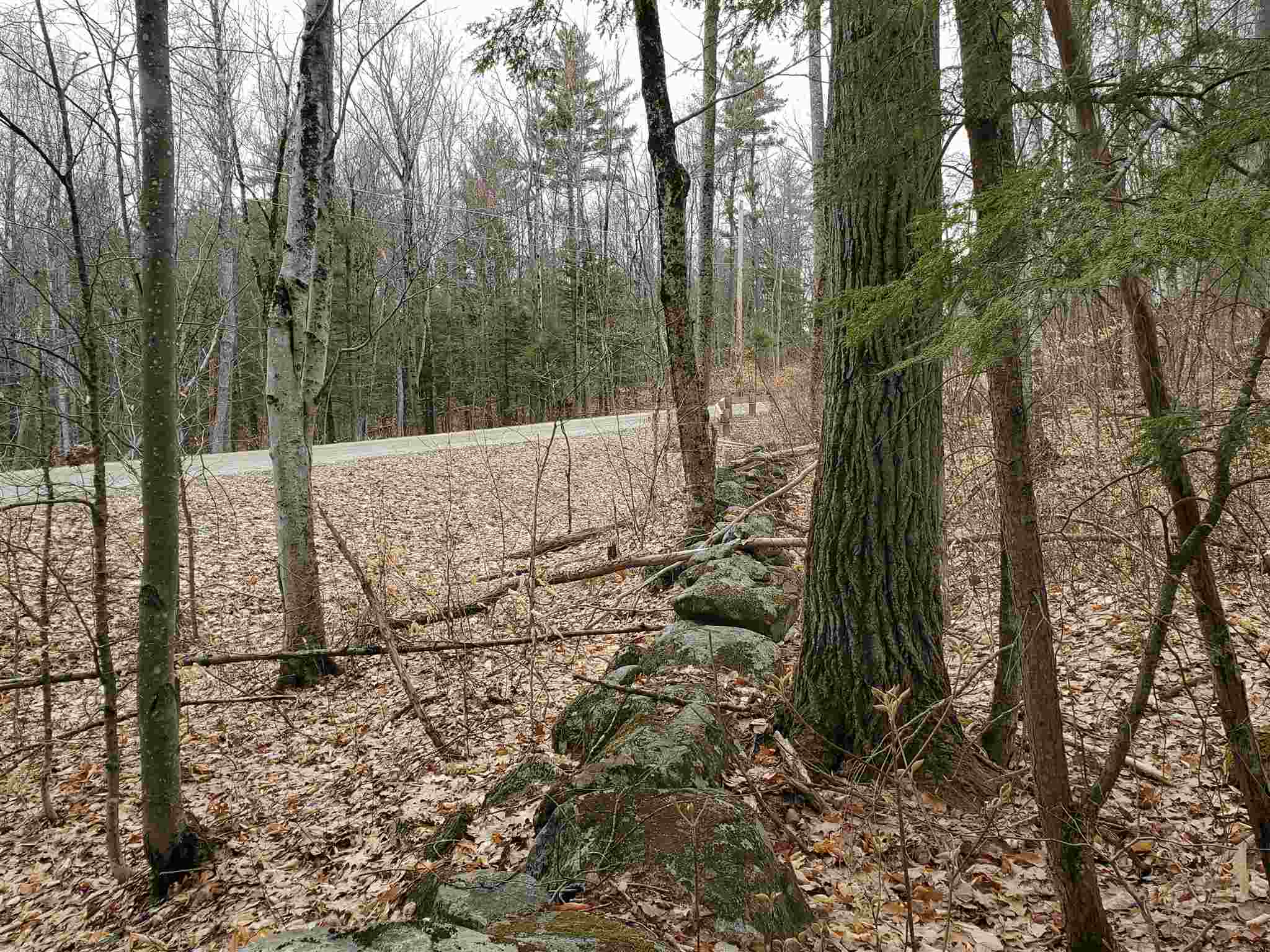 Lot 15-0 Buzzell Ridge Road, Unit 14 Sandwich, NH 03227 - Photo 14 of 39