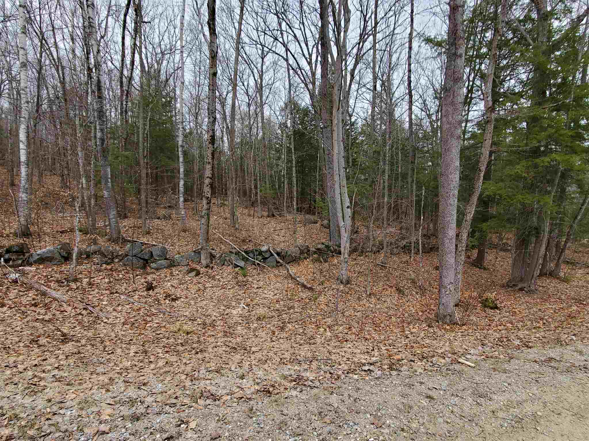 Lot 15-0 Buzzell Ridge Road, Unit 14 Sandwich, NH 03227 - Photo 16 of 39
