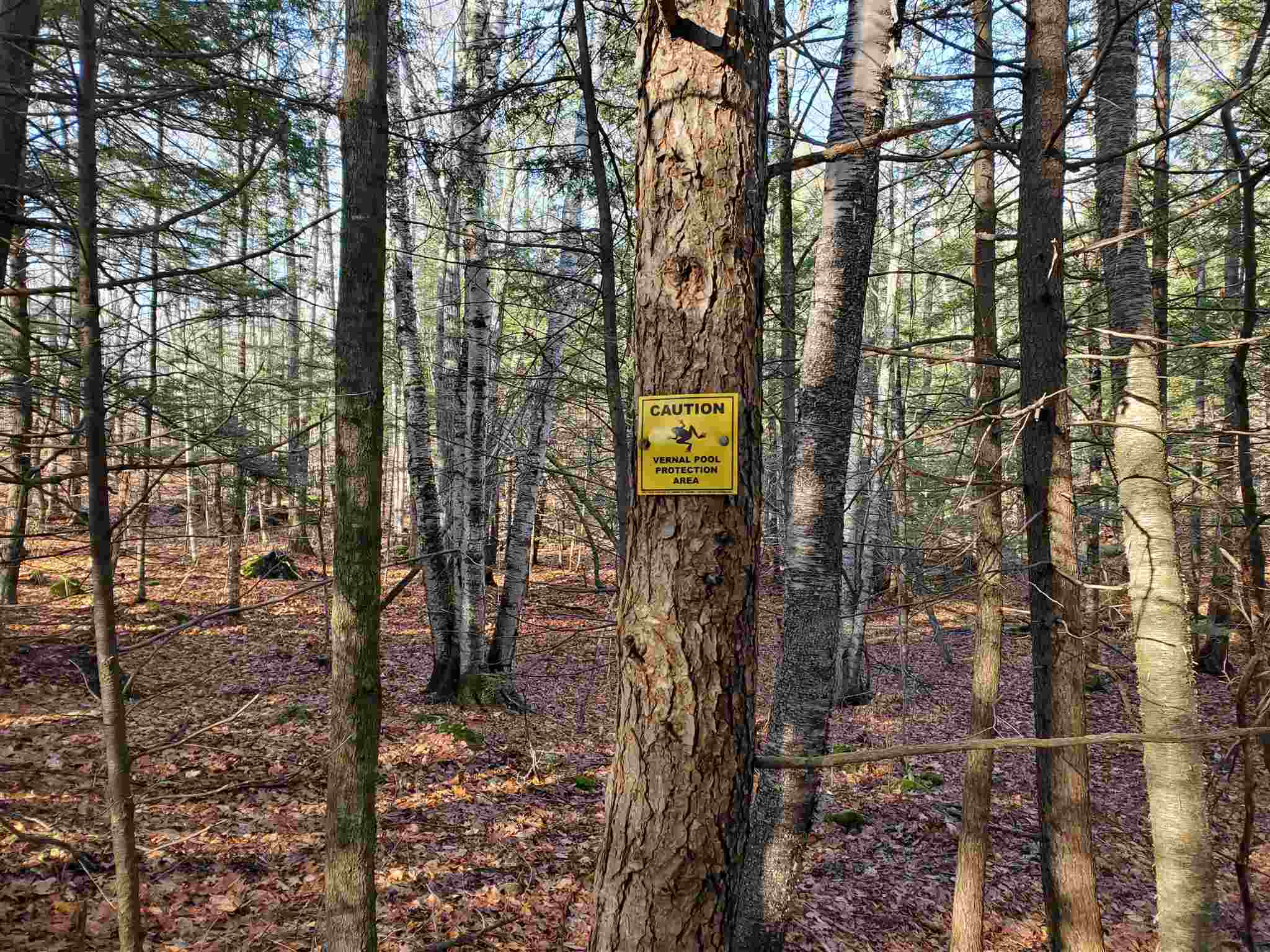 Lot 15-0 Buzzell Ridge Road, Unit 14 Sandwich, NH 03227 - Photo 17 of 39