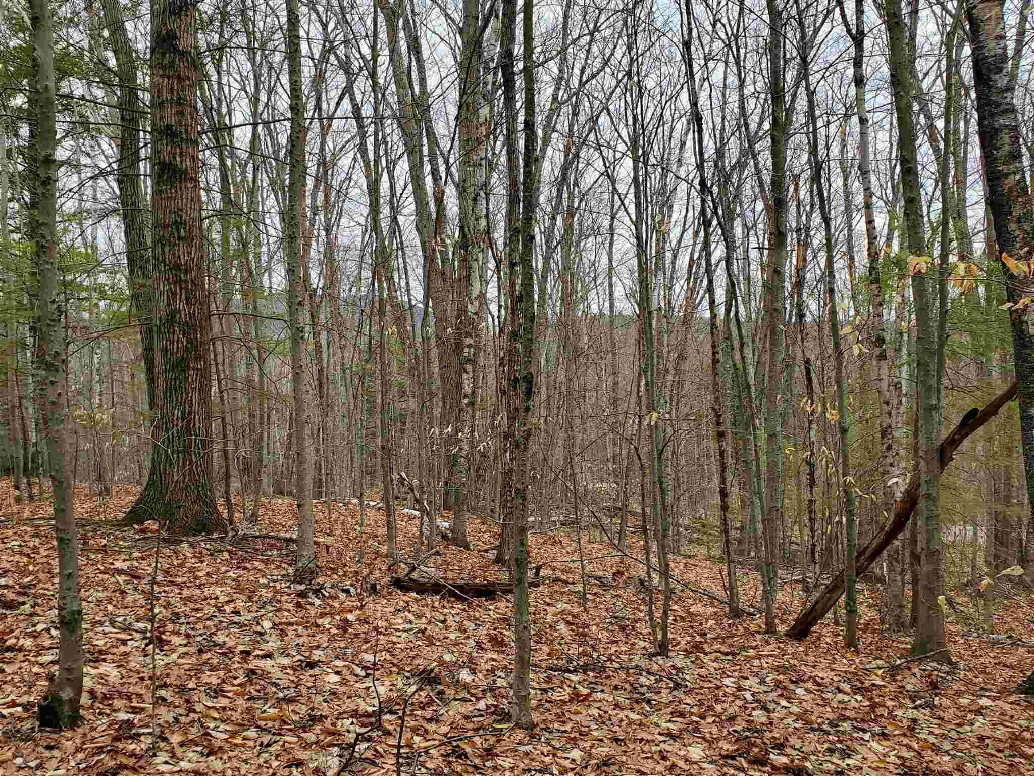 Lot 15-0 Buzzell Ridge Road, Unit 14 Sandwich, NH 03227 - Photo 3 of 39