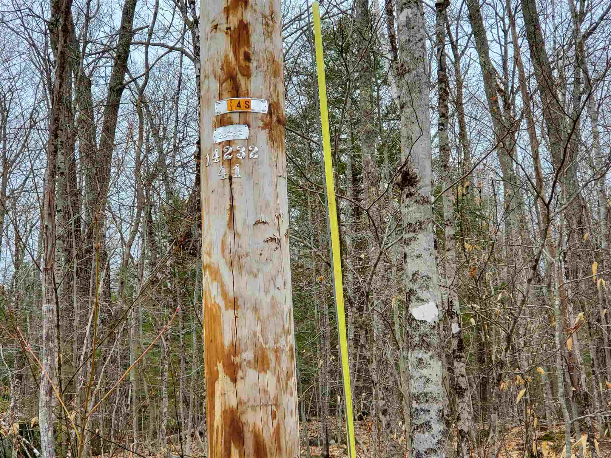 Lot 15-0 Buzzell Ridge Road, Unit 14 Sandwich, NH 03227 - Photo 4 of 39