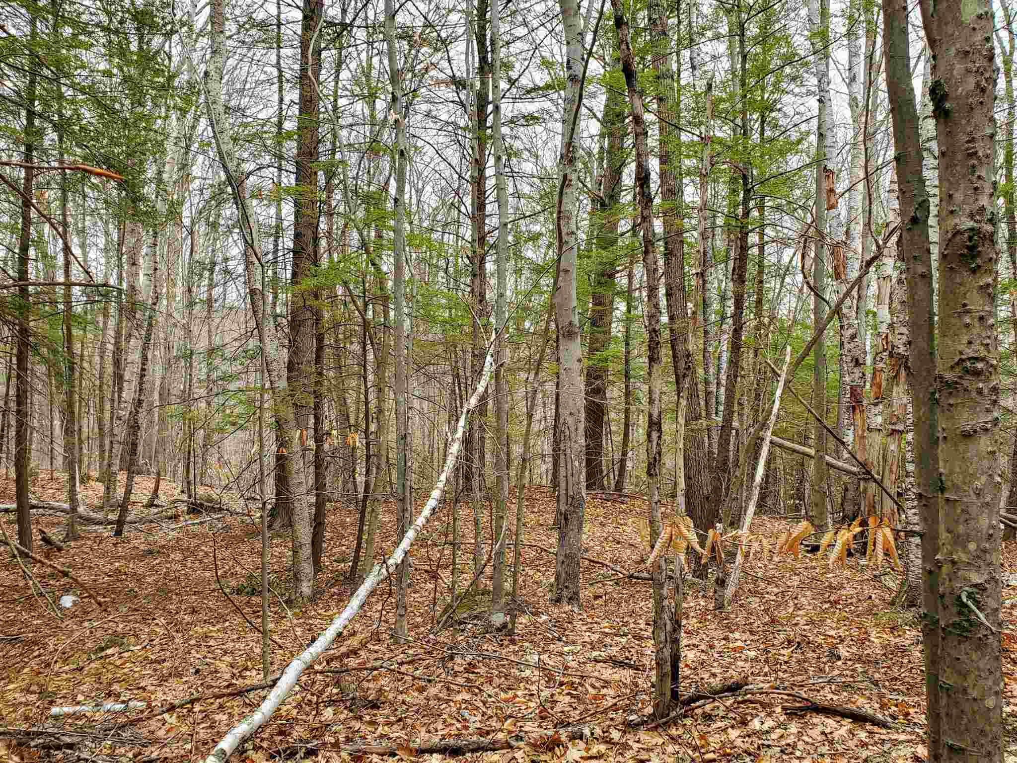 Lot 15-0 Buzzell Ridge Road, Unit 14 Sandwich, NH 03227 - Photo 6 of 39