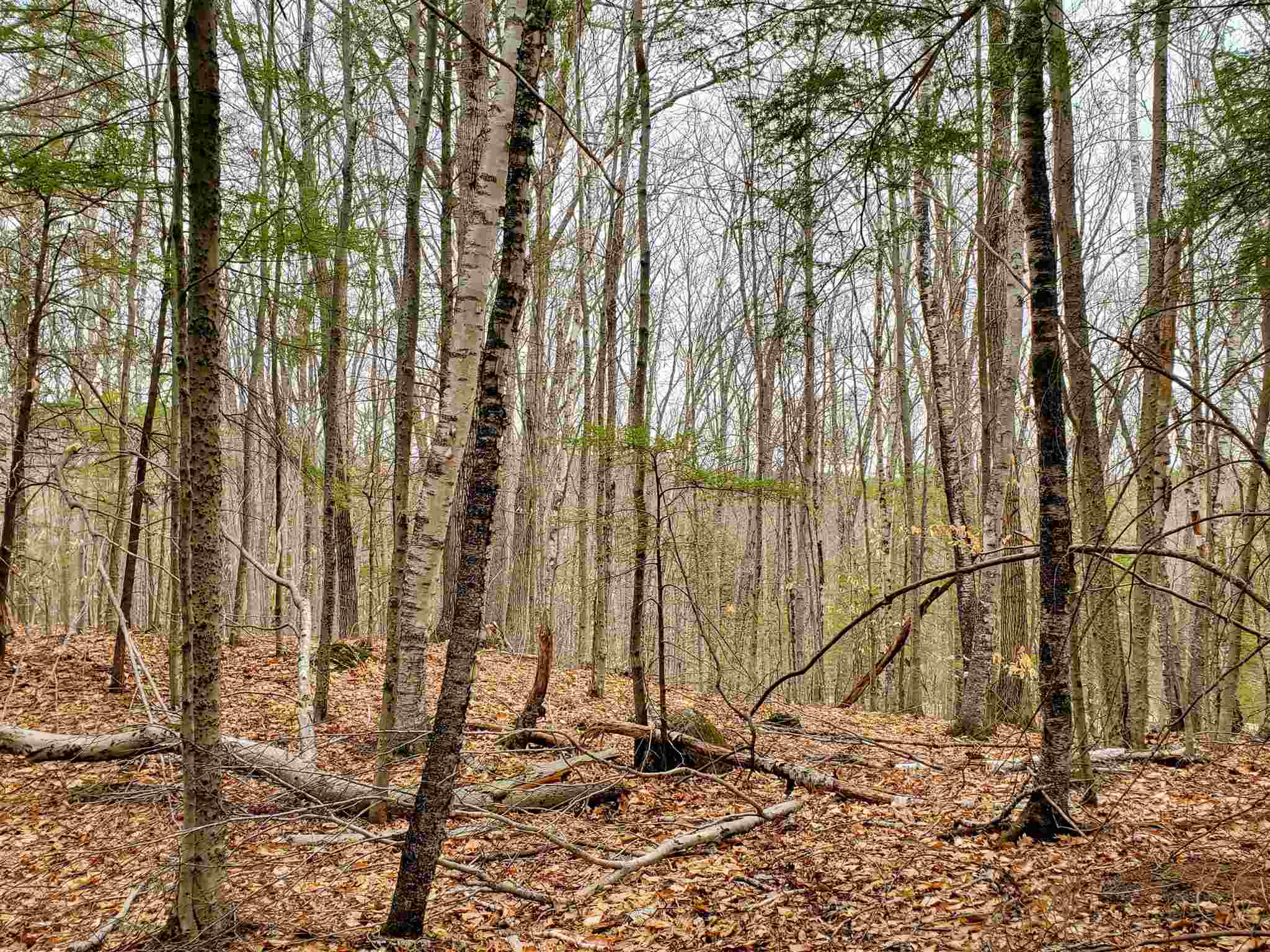 Lot 15-0 Buzzell Ridge Road, Unit 14 Sandwich, NH 03227 - Photo 7 of 39