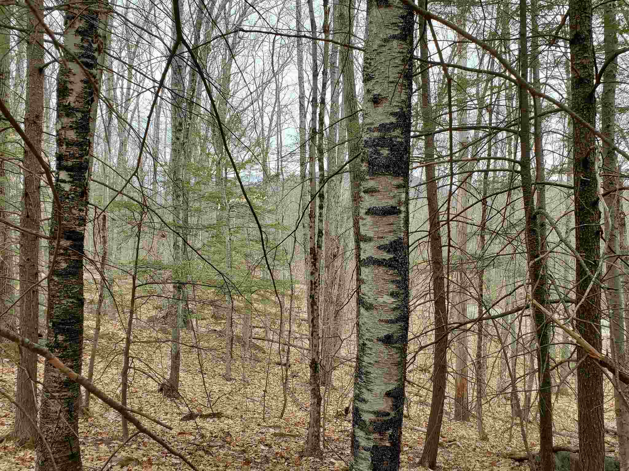 Lot 15-0 Buzzell Ridge Road, Unit 14 Sandwich, NH 03227 - Photo 8 of 39