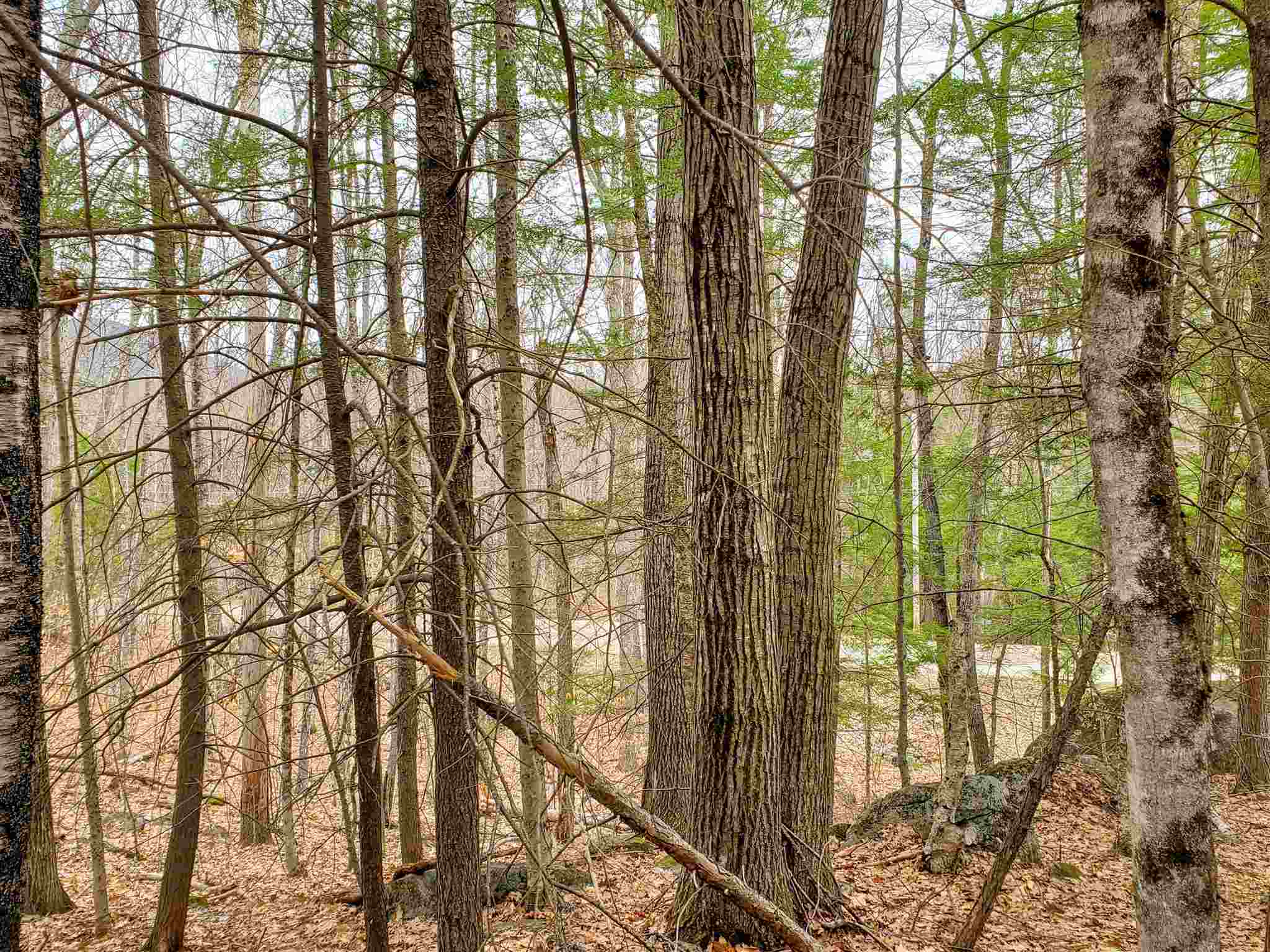 Lot 15-0 Buzzell Ridge Road, Unit 14 Sandwich, NH 03227 - Photo 9 of 39