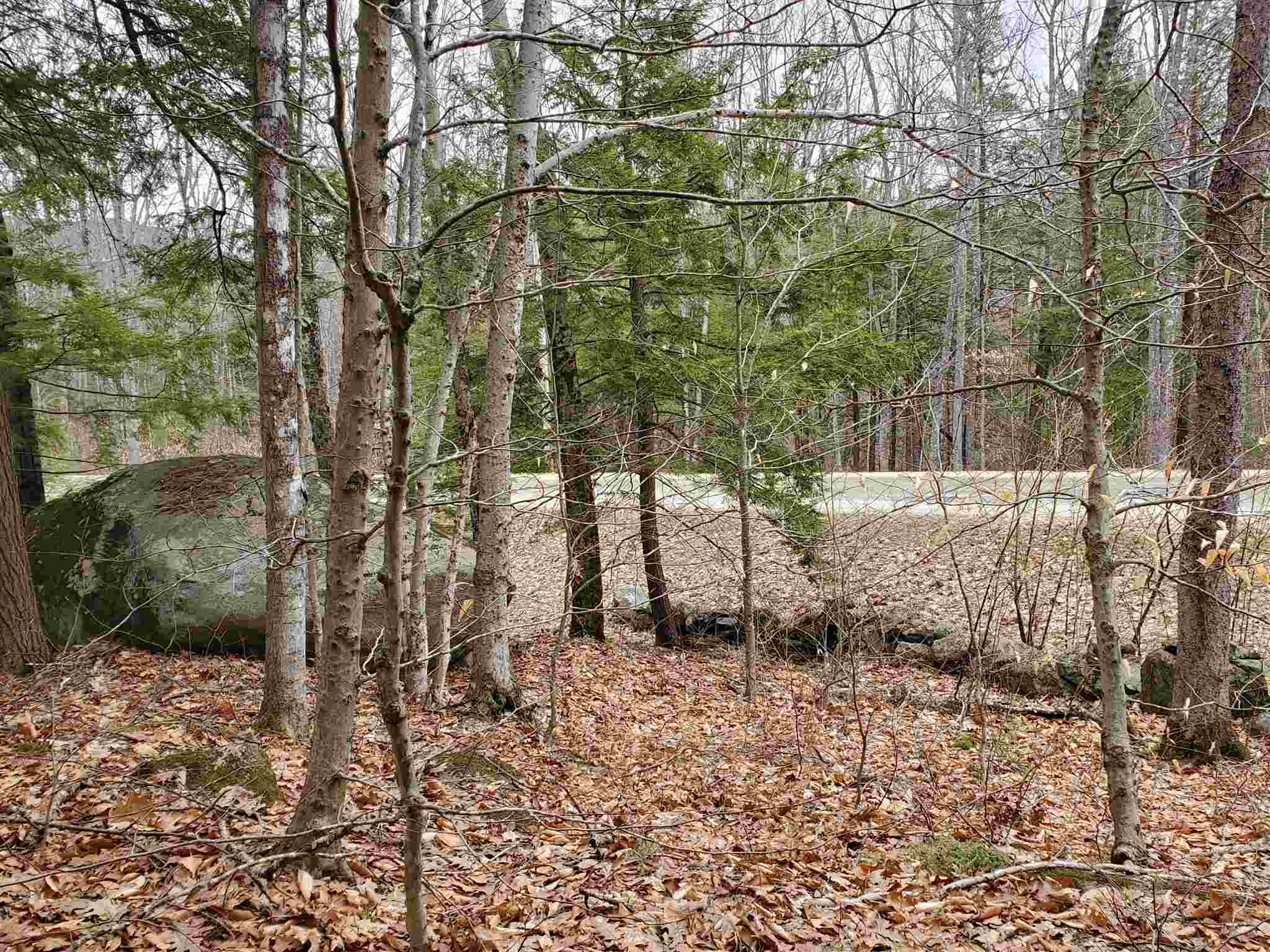 Lot 15-0 Buzzell Ridge Road, Unit 14 Sandwich, NH 03227 - Photo 10 of 39