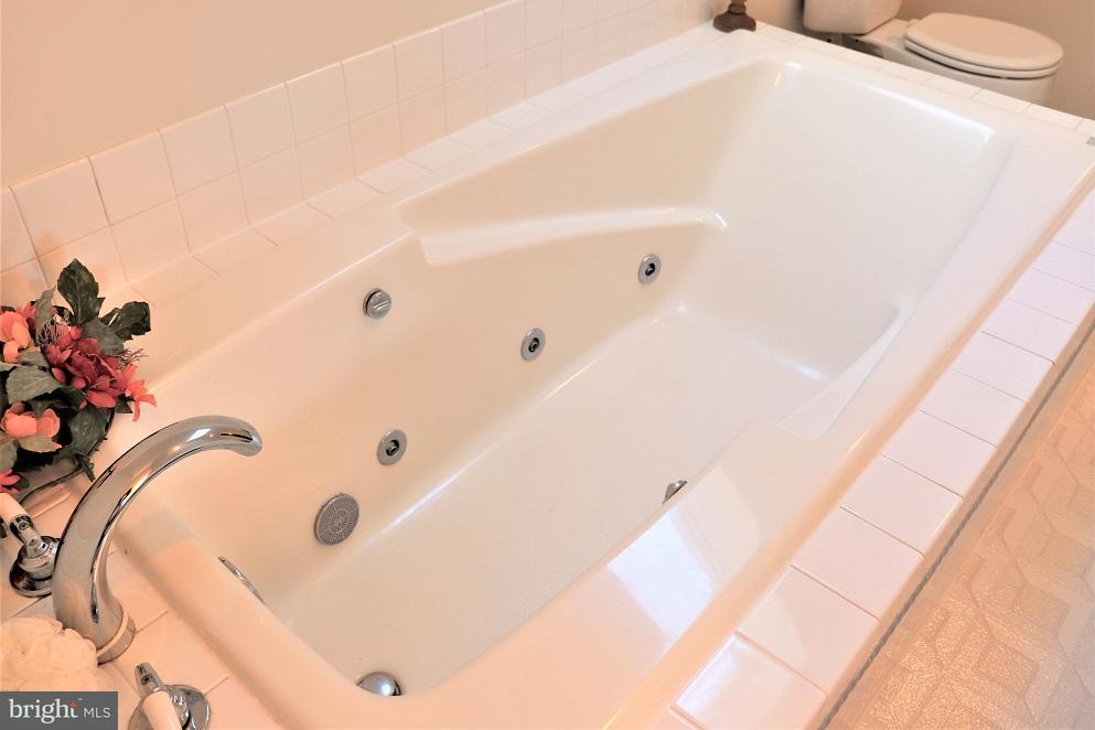 1117 Suffolk Drive Lititz, PA 17543 - Photo 31 of 47 Master Bathroom Details