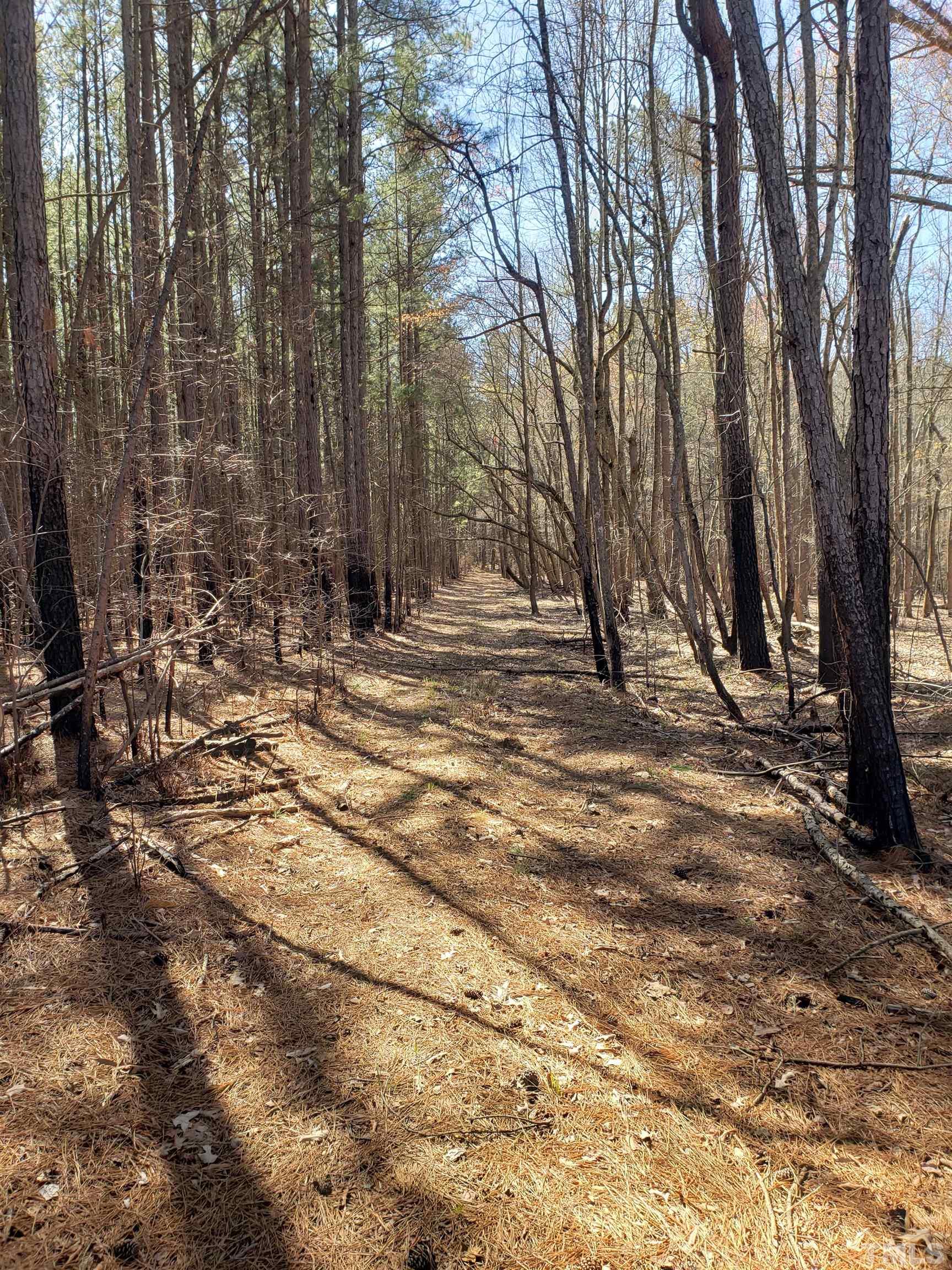1624 Sunset Road Oxford, NC 27565 - Photo 3 of 10 Gallery Image 3