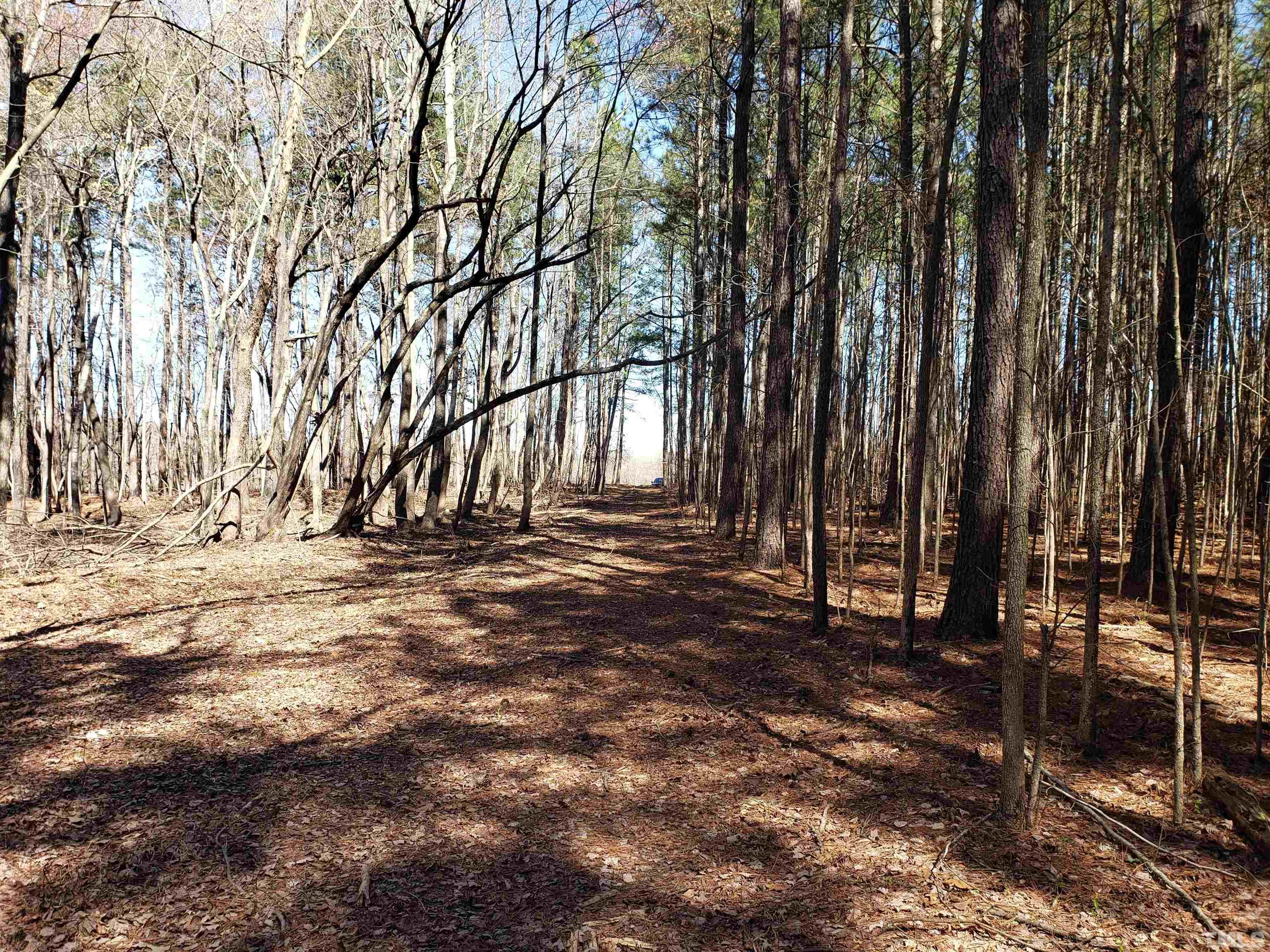 1624 Sunset Road Oxford, NC 27565 - Photo 7 of 10 Gallery Image 7