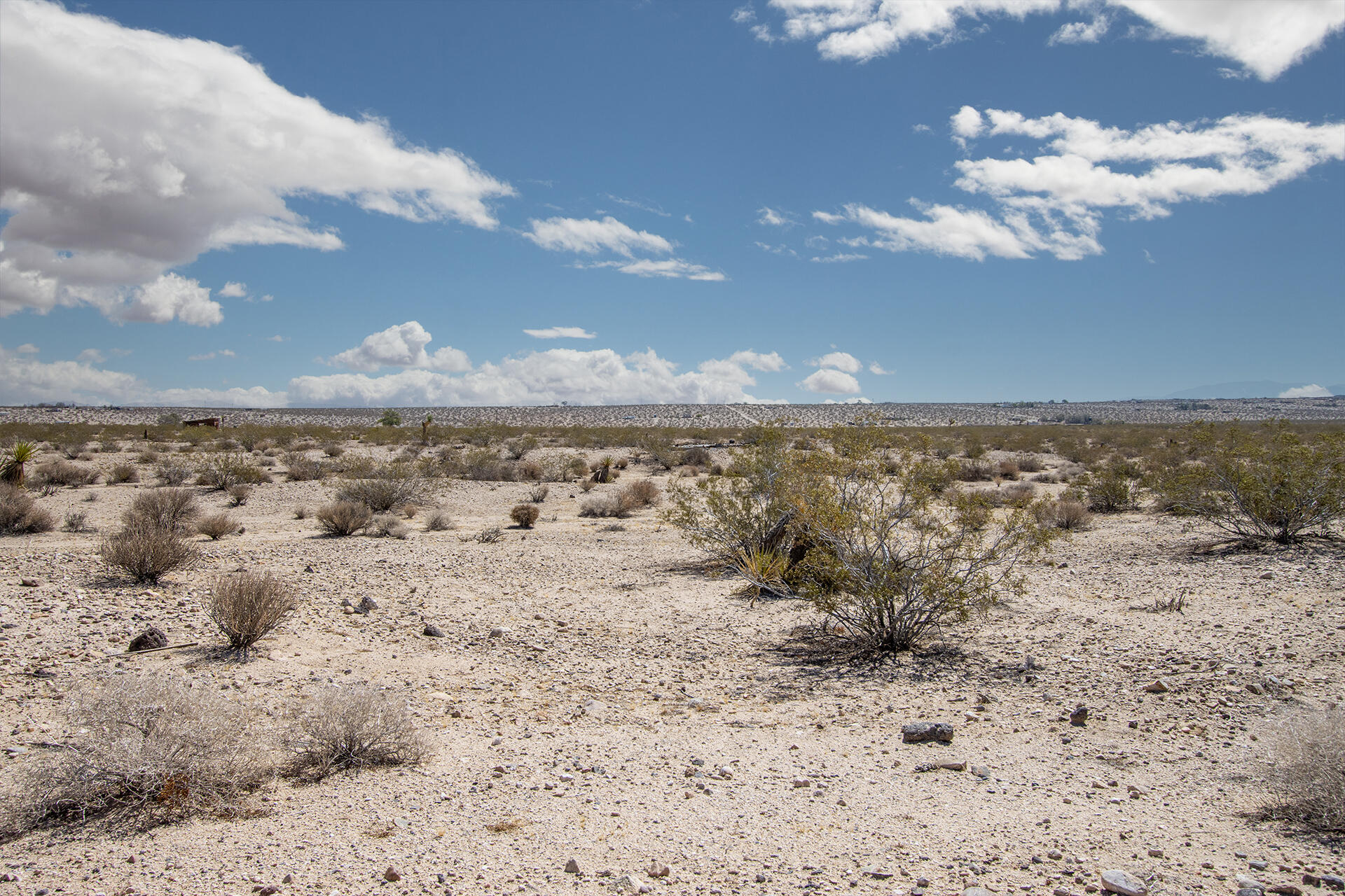 102 Venus Street Joshua Tree, CA 92252 - Photo 12 of 19 IMG_5355