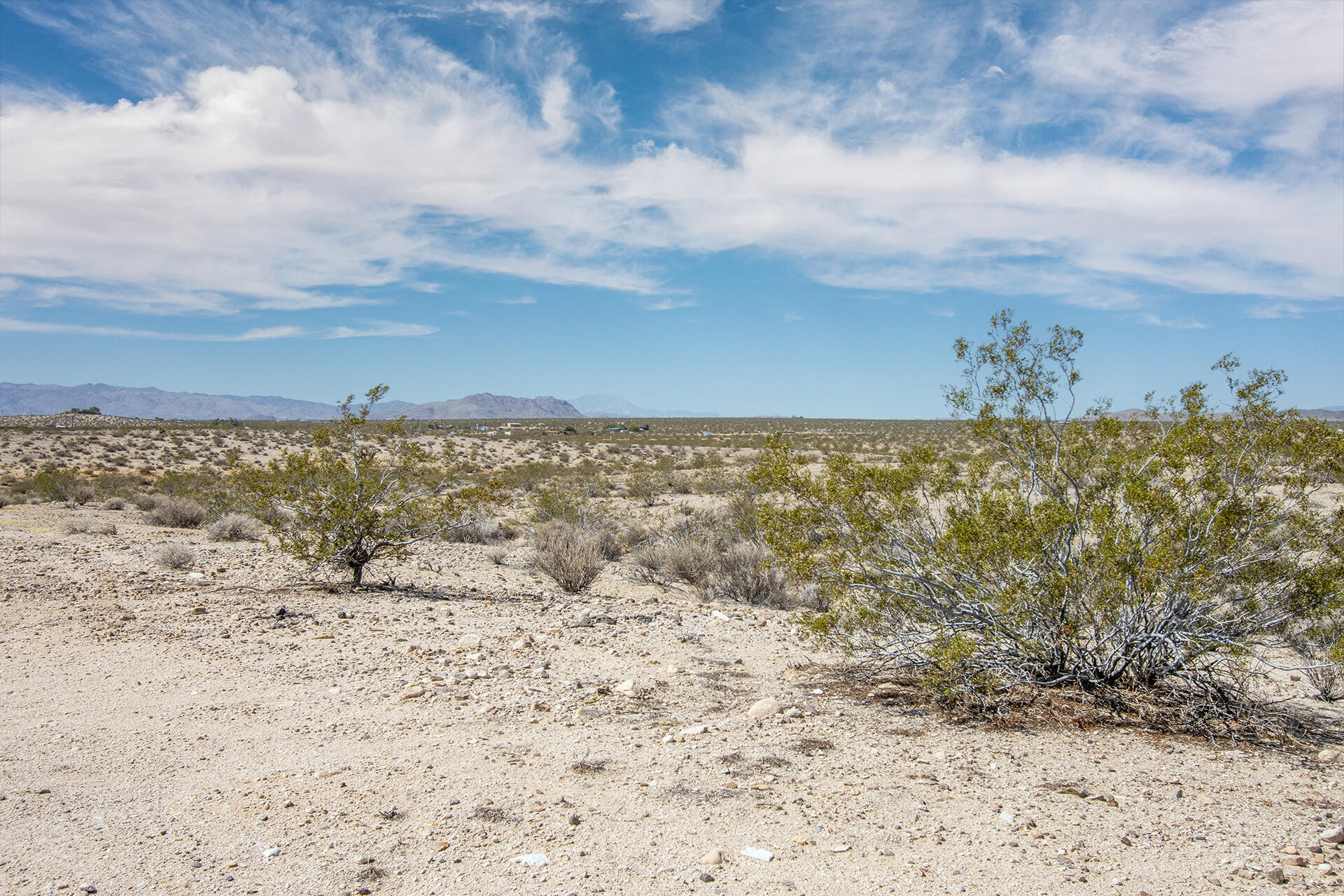 102 Venus Street Joshua Tree, CA 92252 - Photo 5 of 19 IMG_5357