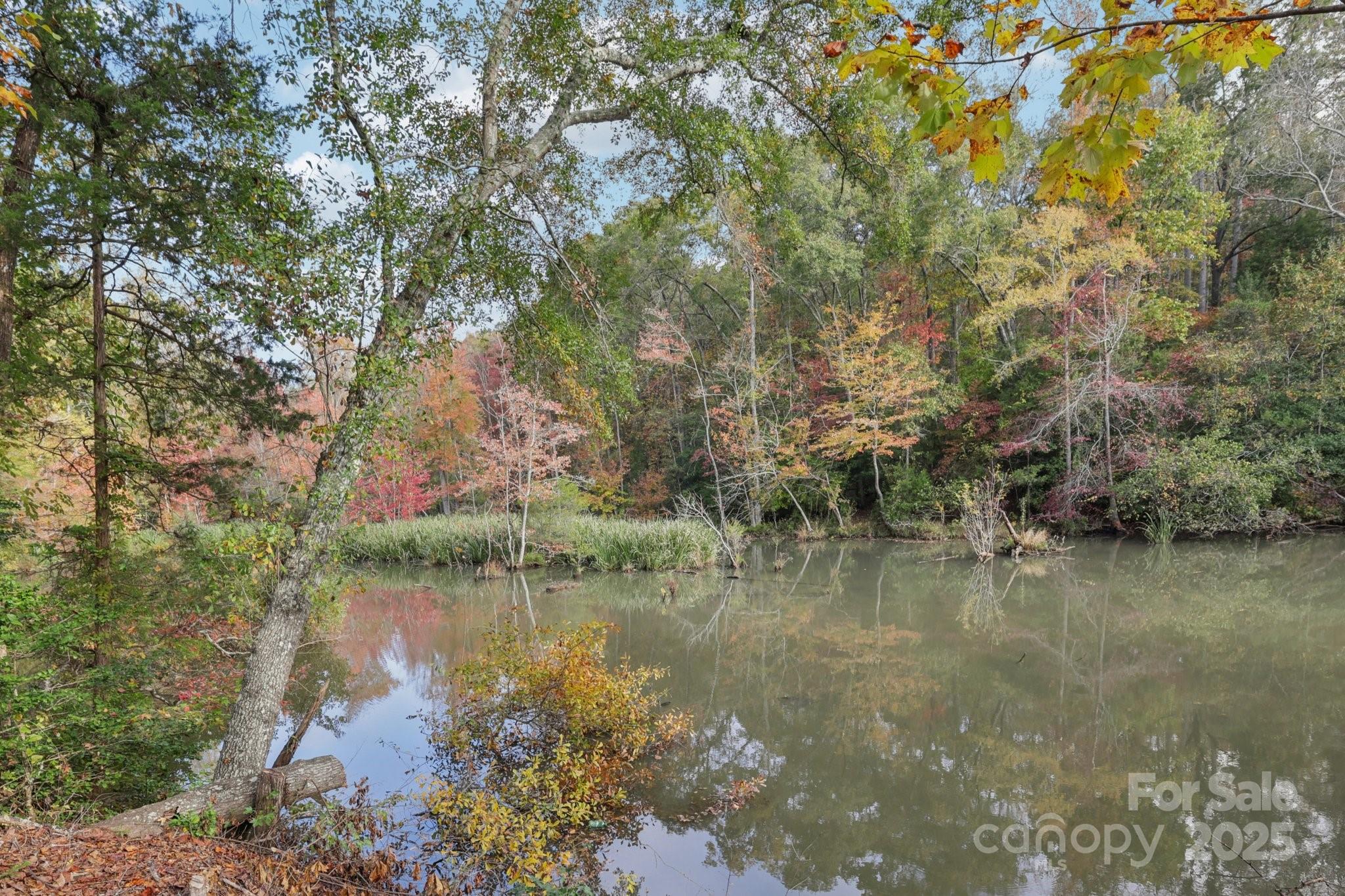 1269 Eastcreek Road Fort Lawn, SC 29714 - Photo 39 of 44 a view of lake