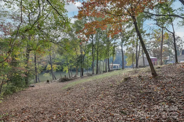 a big yard with trees in front of it