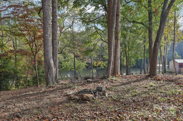 a view of a house with backyard and trees