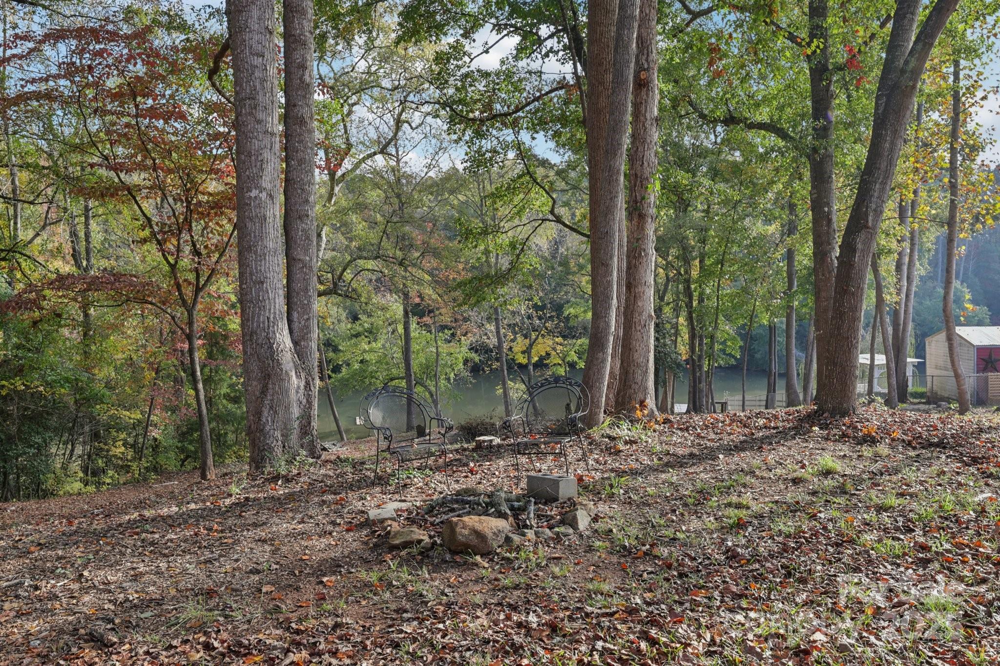 1269 Eastcreek Road Fort Lawn, SC 29714 - Photo 41 of 44 a view of a forest with trees