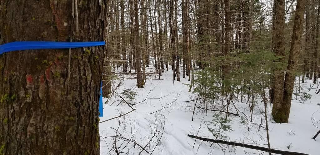 Tbd Campbell Road Harmony, ME 04942 - Photo 12 of 14 Lot