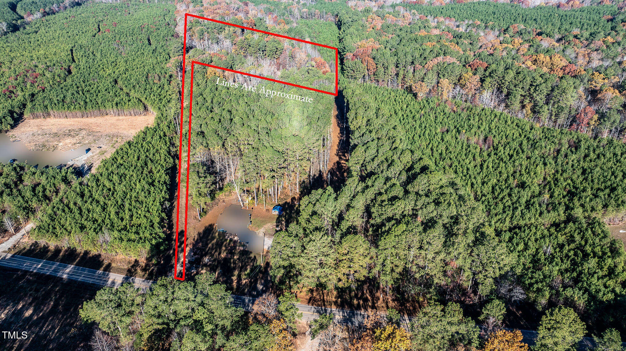 400 Capps Farm Road Hollister, NC 27844 - Photo 1 of 13 400-1-wLines