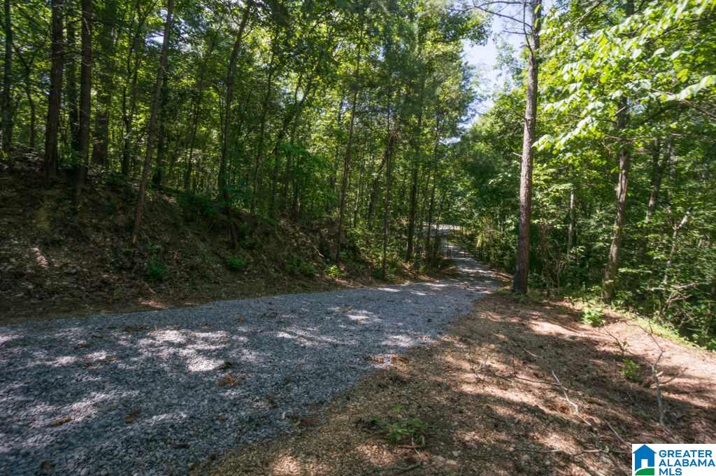 161 Ridge Road Shelby, AL 35143 - Photo 34 of 43