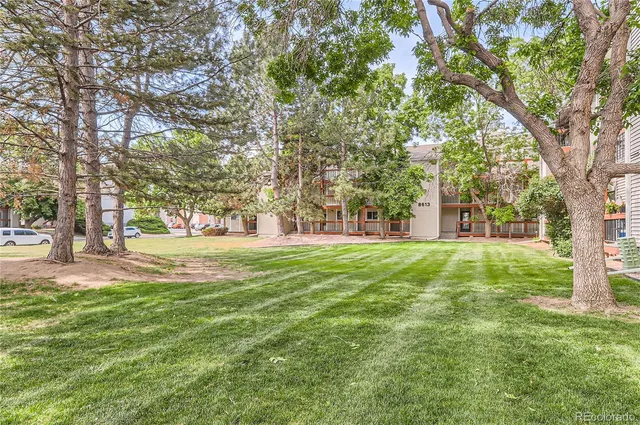 a huge green field with lots of trees