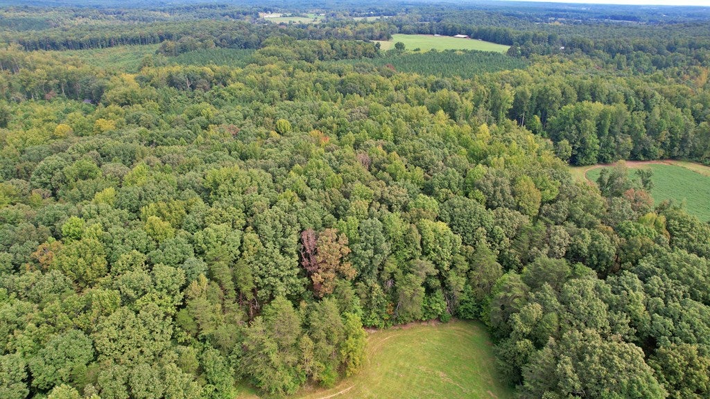 Tower Road Pamplin, VA 23958 - Photo 16 of 25 Gallery Image 16