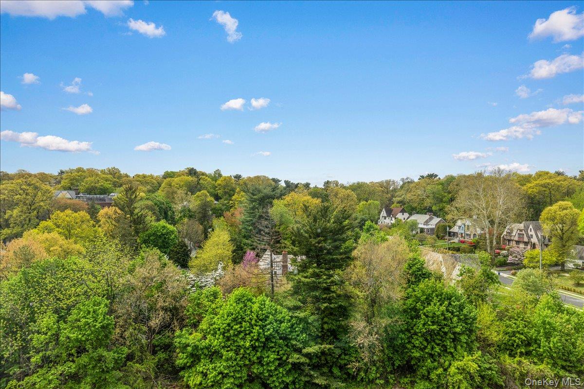 900 Palmer Road, Unit 10D Bronxville, NY 10708 - Photo 8 of 18 a view of a city