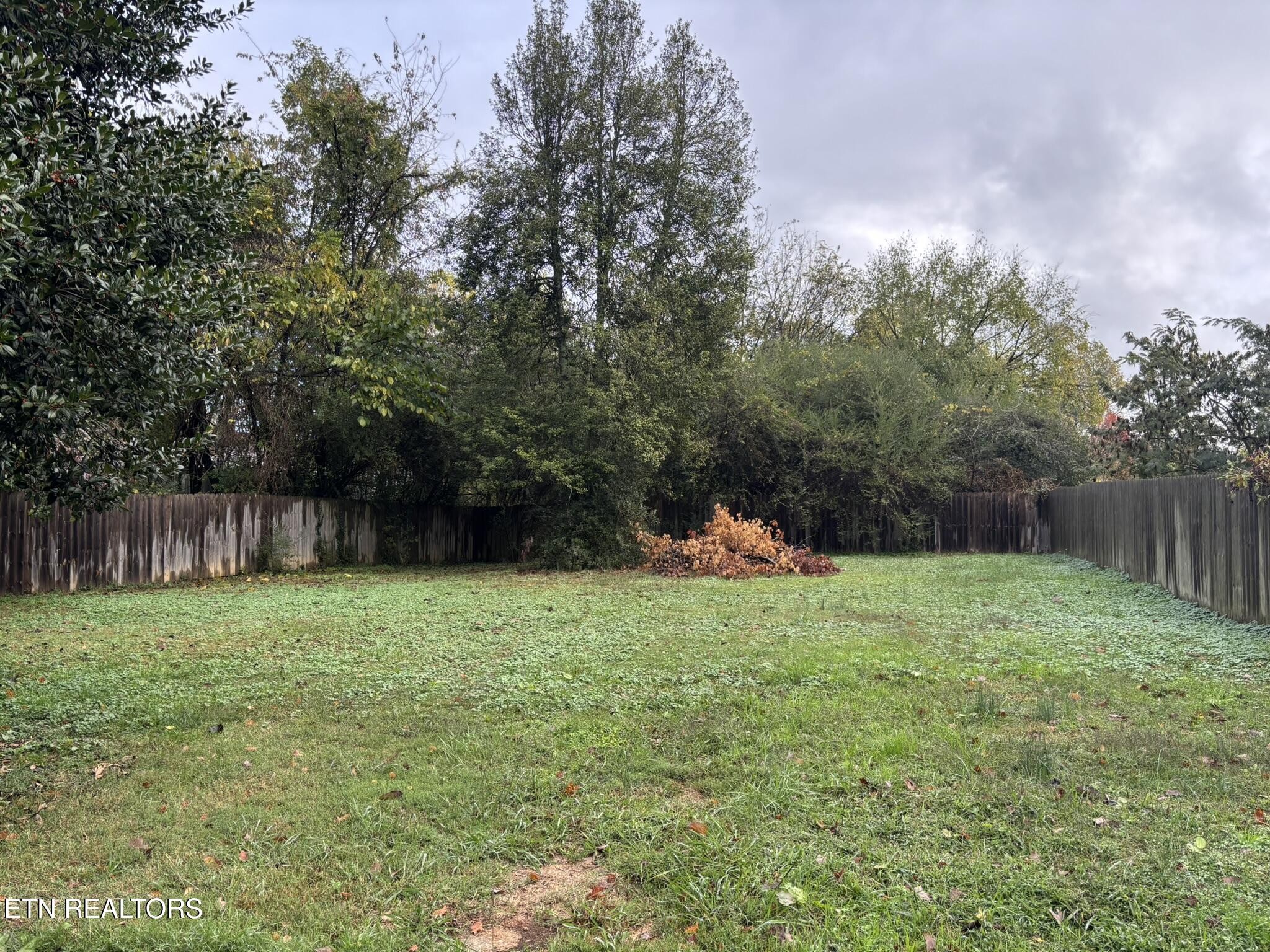 5202 Murphy Road Knoxville, TN 37918 - Photo 20 of 23