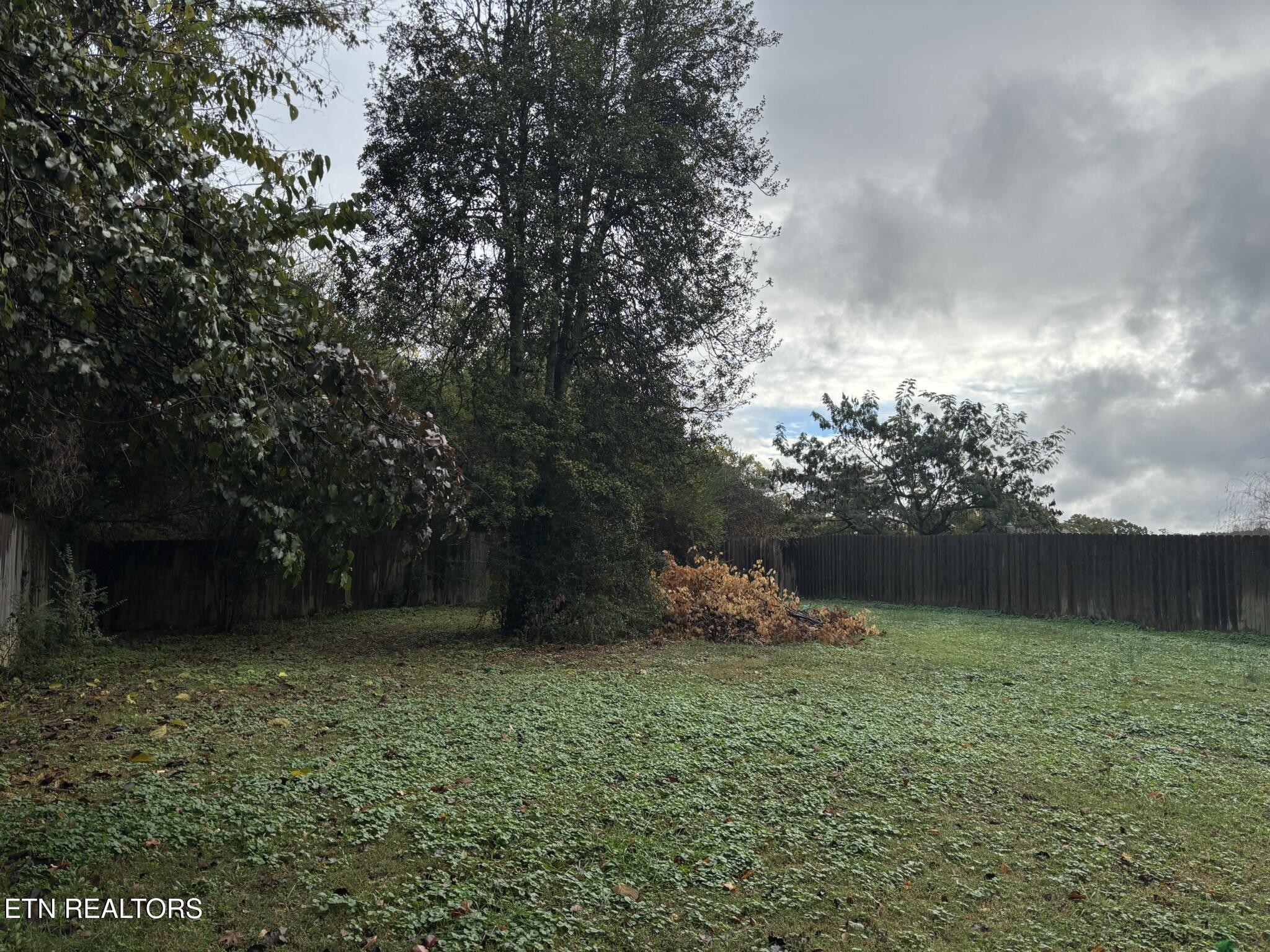 5202 Murphy Road Knoxville, TN 37918 - Photo 21 of 23