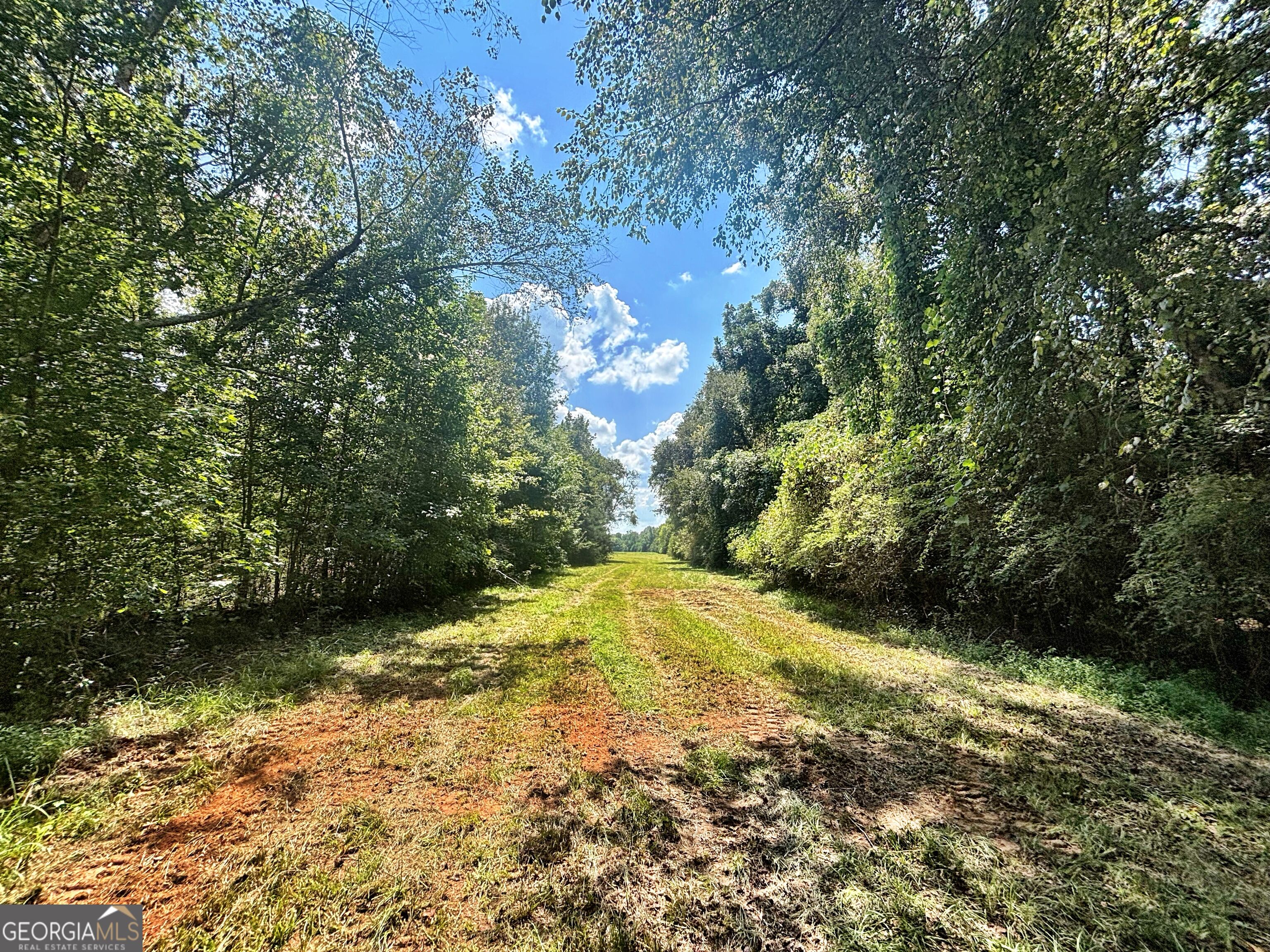 102 Yellow Creek Road Forsyth, GA 31029 - Photo 11 of 31 Gallery Image 11