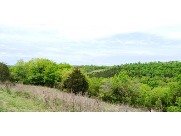 288 Gemstone Drive Reeds Spring, MO 65737 - Photo 1 of 1 Primary Photo