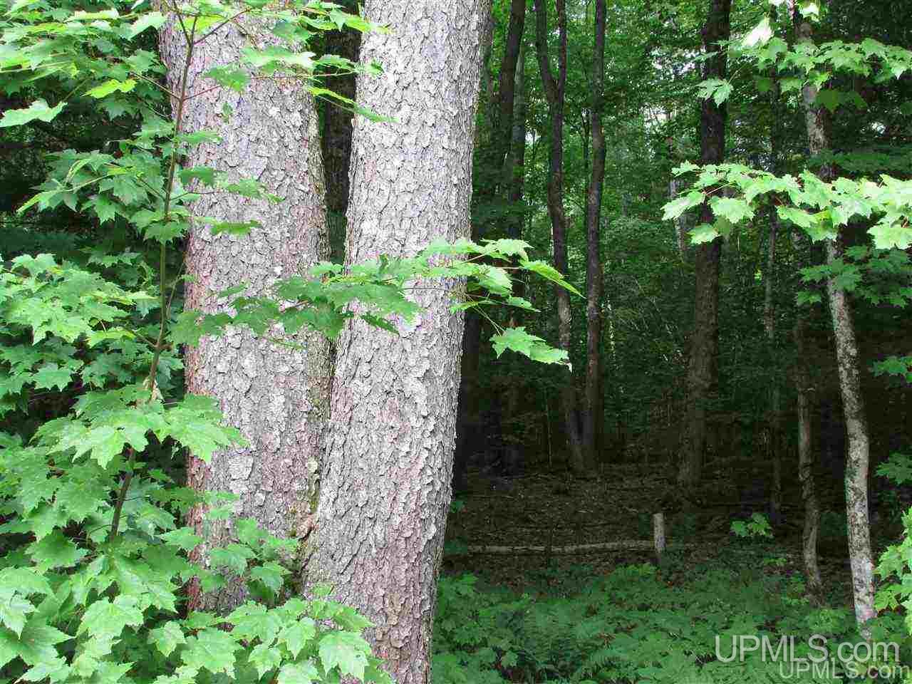 6519 Crossover Road Munising, MI 49862 - Photo 40 of 40