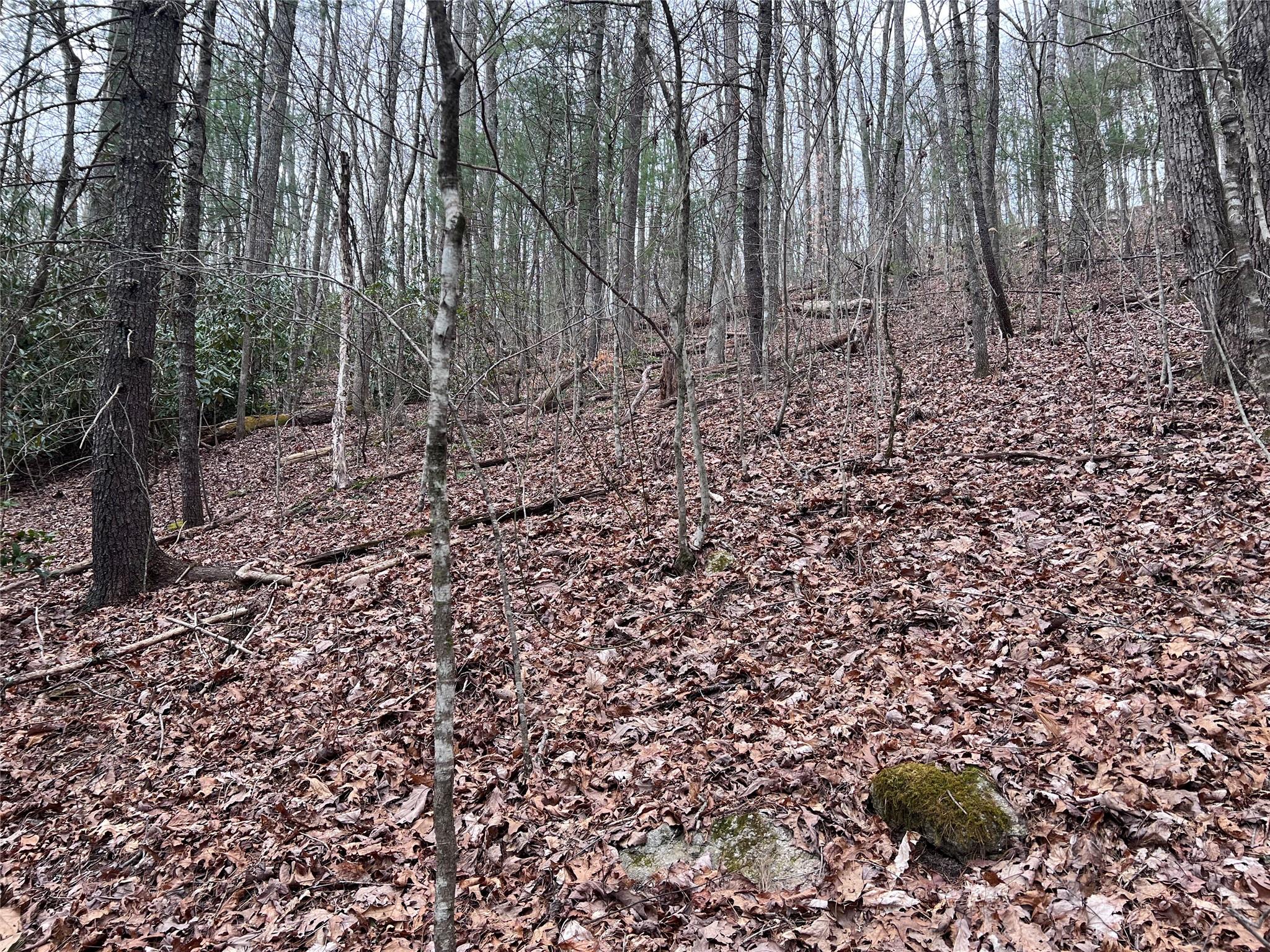 0 Lakeview Road Spruce Pine, NC 28777 - Photo 3 of 13 Gallery Image 3