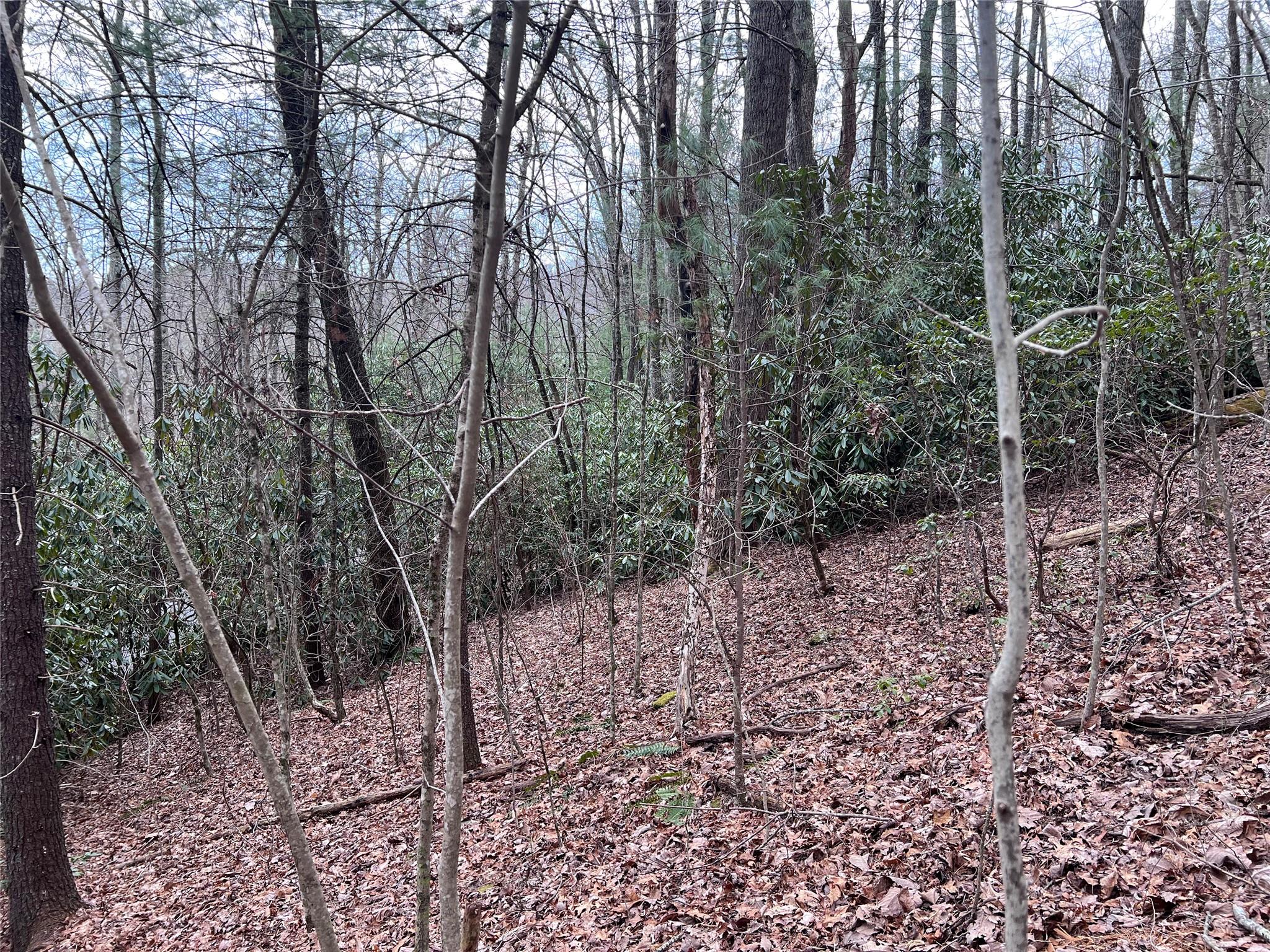 0 Lakeview Road Spruce Pine, NC 28777 - Photo 5 of 13 Gallery Image 5